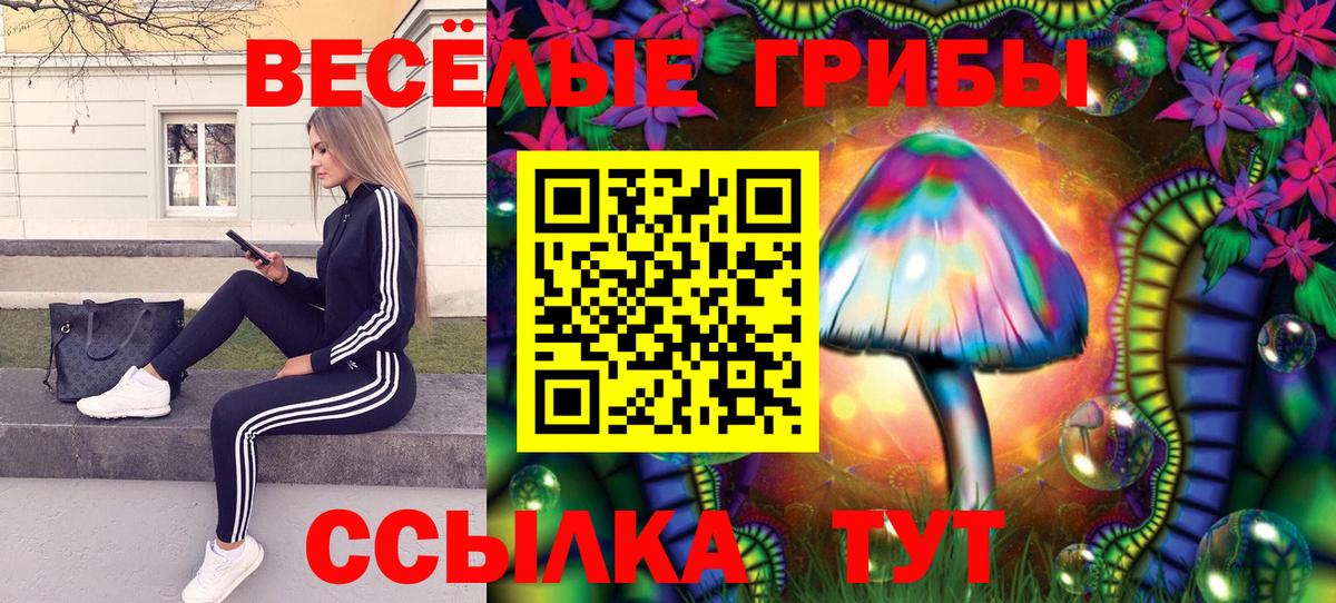 Псилоцибиновые грибы GOLDEN TEACHER  Вход с VPN  Ликино-Дулёво  наркота  Галлюциногенные грибы MAGIC MUSHROOMS 