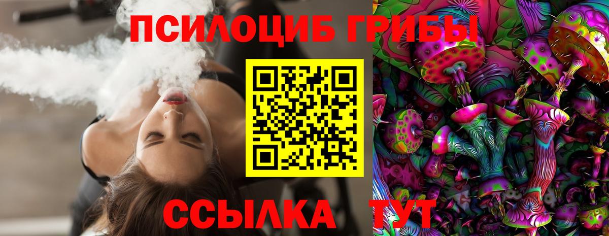 Псилоцибиновые грибы GOLDEN TEACHER Ликино-Дулёво